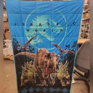 Large 58" X 38" Jurassic World Weighted Blanked Very Nice!